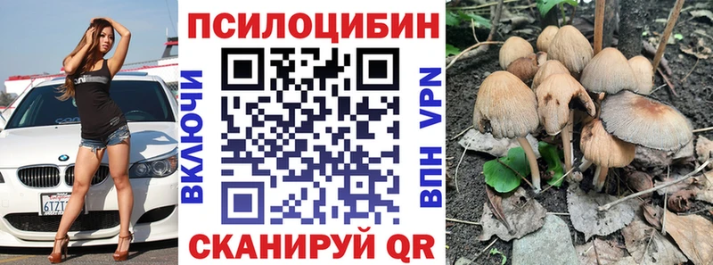 кракен как зайти  Поронайск  Псилоцибиновые грибы Cubensis  купить  